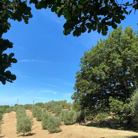 La Casina Della Quercia, Your Tuscan Oak Tree House Osteria Delle Noci Екстер'єр фото