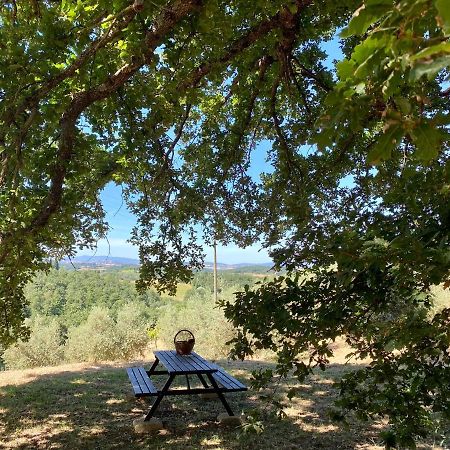 La Casina Della Quercia, Your Tuscan Oak Tree House Osteria Delle Noci Екстер'єр фото
