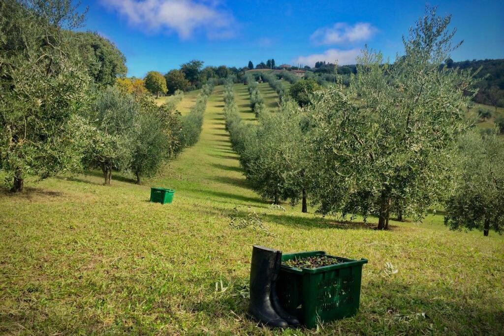 La Casina Della Quercia, Your Tuscan Oak Tree House Osteria Delle Noci Екстер'єр фото
