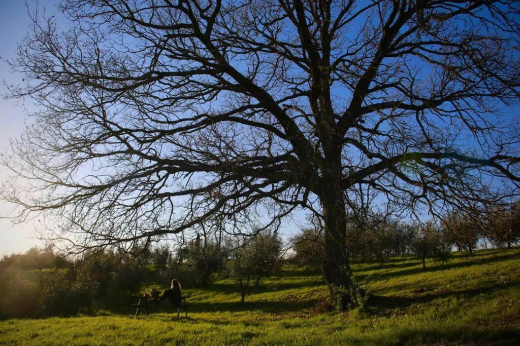 La Casina Della Quercia, Your Tuscan Oak Tree House Osteria Delle Noci Екстер'єр фото