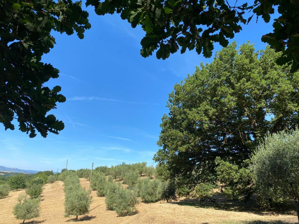 La Casina Della Quercia, Your Tuscan Oak Tree House Osteria Delle Noci Екстер'єр фото