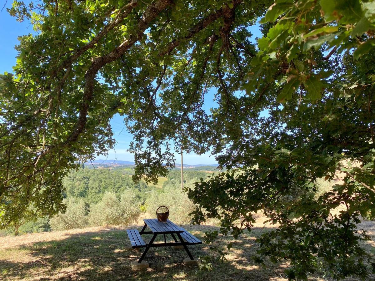 La Casina Della Quercia, Your Tuscan Oak Tree House Osteria Delle Noci Екстер'єр фото